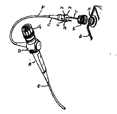 Endoscope