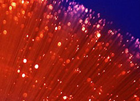 48 Strand Fiber Optic Fiber